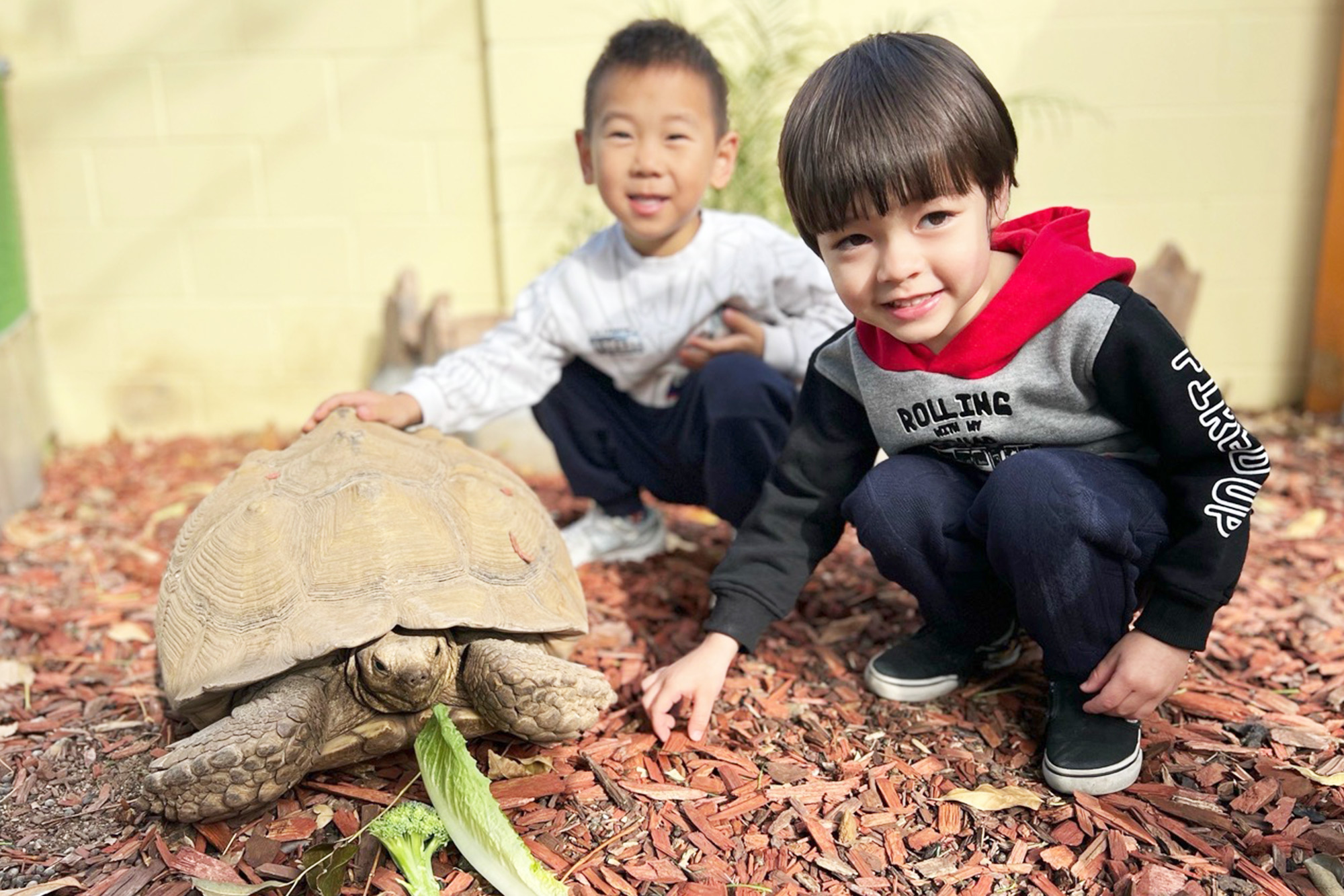 Children exploring plants during Outdoor-Science in Yorba Linda Preschool